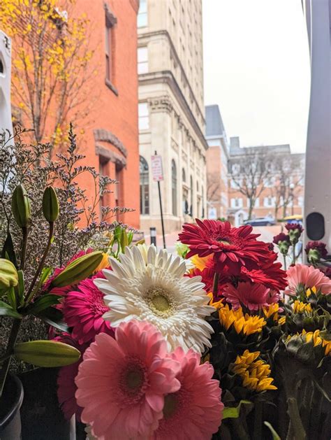 CENTRAL MARKET FLOWERS - Updated November 2024 - 43 Photos & 13 Reviews ...