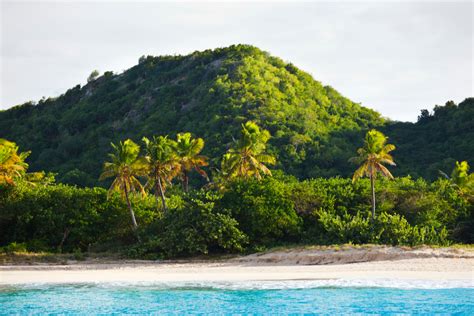 What To Do In Antigua's Rainforest by Holiday Genie