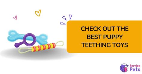 4 Best Puppy Teething Toys For Your Dog Revealed