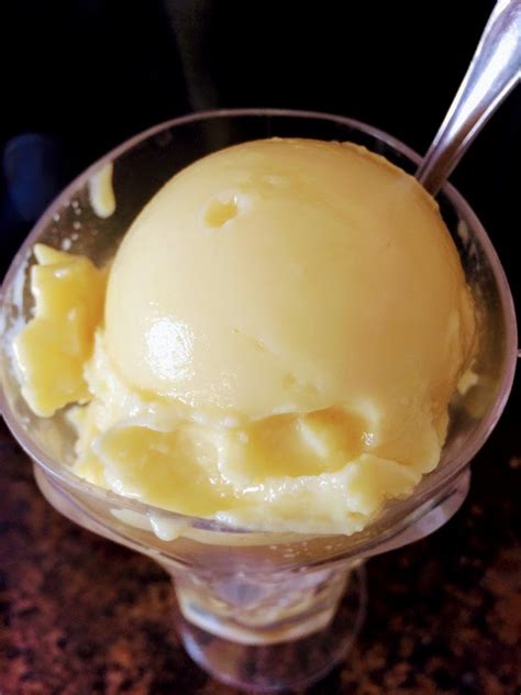 Easy Two-Ingredient Sorbet (Vegan) - A Magical Life