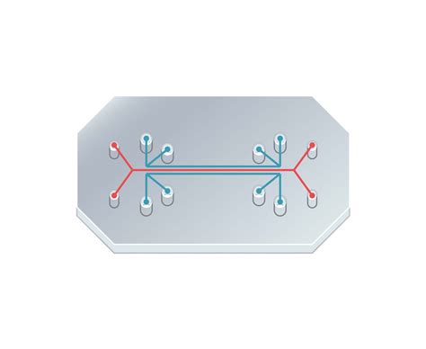 Global Market Overview: Organ-on-a-Chip