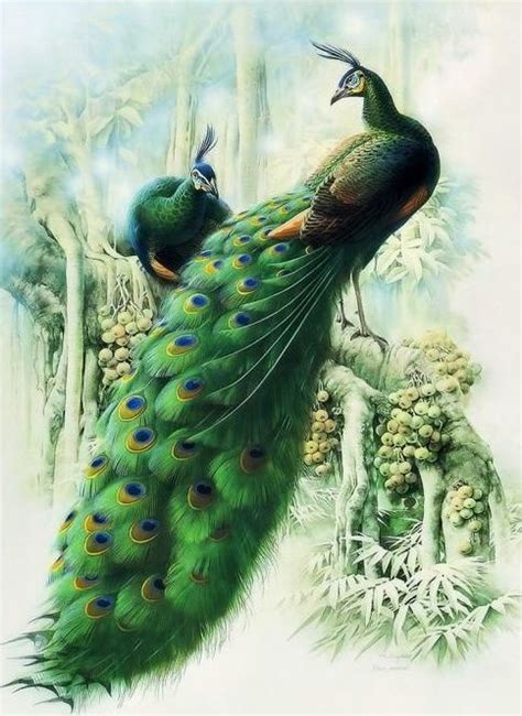 anyway, it's green | Peacock painting, Peacock art