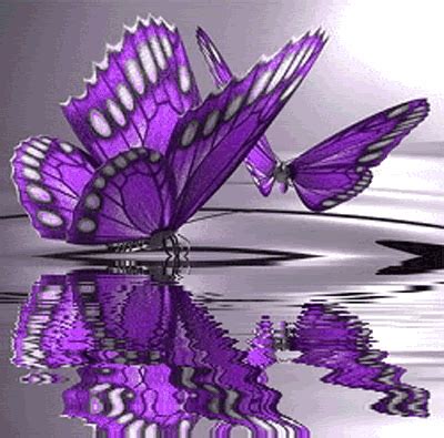 Butterflies, Animated Butterflies, Animated Insects, Keefers gif by Keefers_ | Photobucket