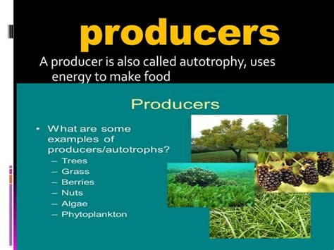 producers | PPT