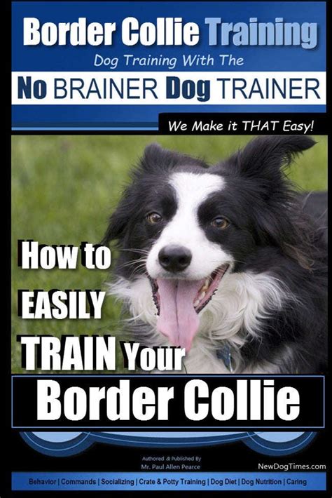 Buy Border Collie Training Dog Training with the No BRAINER Dog TRAINER ...