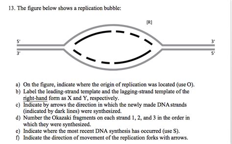 Replication Bubble