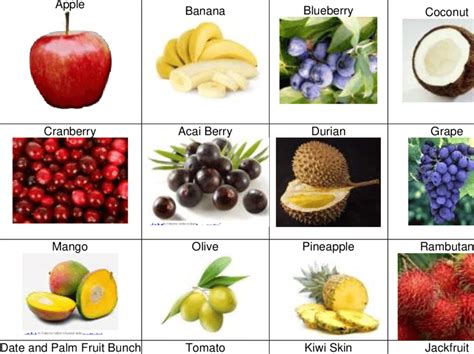 Fruits Used as Filler or Fiber in Composites and Films | Download Scientific Diagram