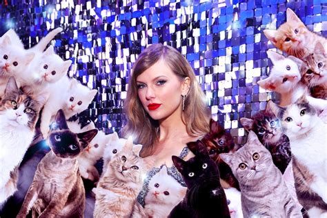 Taylor Swift gets it: Cats are better than (some) men