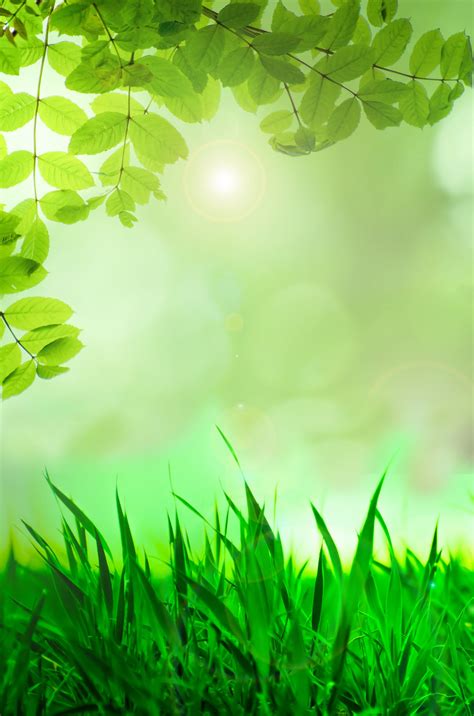 Natural Green Background Free Stock Photo - Public Domain Pictures