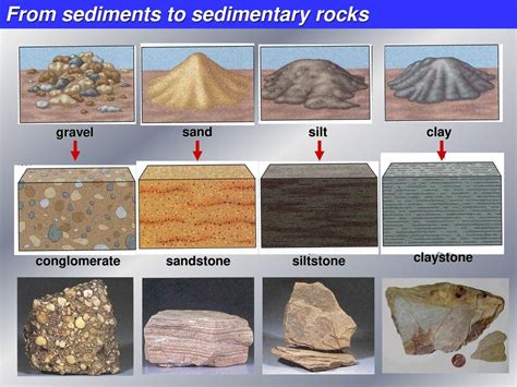 Claystone Sedimentary Rock