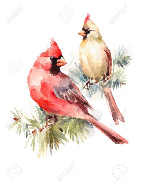 watercolor cardinals - Google Search in 2020 | Watercolor flower art ...