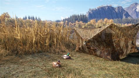 theHunter: Call of the Wild™ - Duck and Cover Pack on Steam