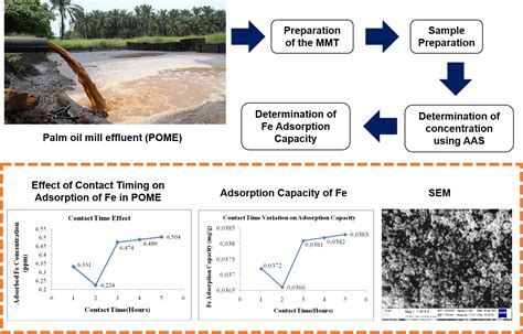 Iron Metal Ion Adsorption Capacity on Palm Oil Mill Effluent (POME ...