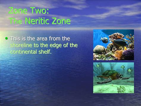 PPT - Ocean Zones & Layers PowerPoint Presentation, free download - ID:5741638