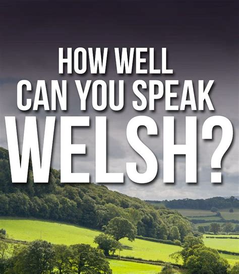 How Much Welsh Can You Understand? | Learn welsh, Welsh, Understanding