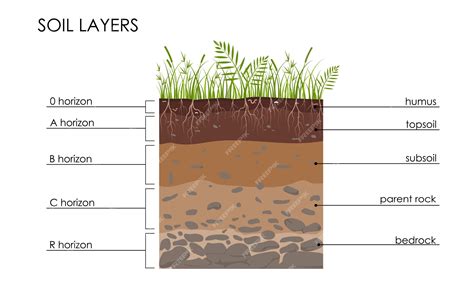 Soil Layers Diagram