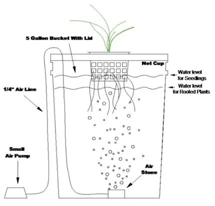 Hydroponic Gardening Systems Beginners | Fasci Garden