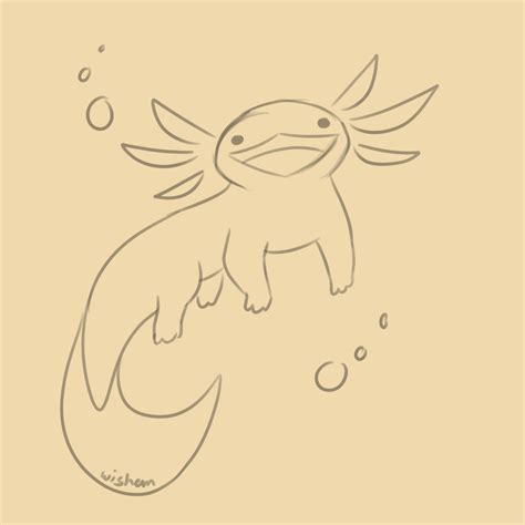 How To Draw An Axolotl Draw Central Axolotl Drawings Axolotl Cute 18460 | The Best Porn Website