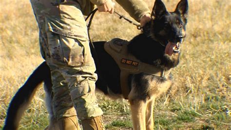 K9 heroes in training - WNKY 40 News