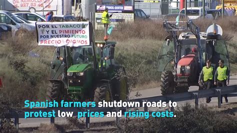 Spanish farmers protest low prices - CGTN