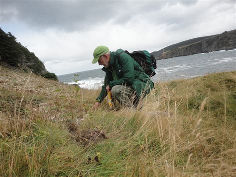 News: Tree Canada Plants 83 Million Trees and Counting