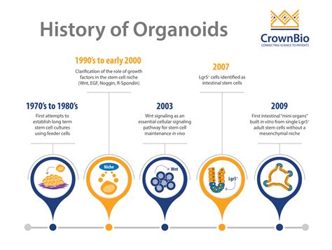 key-discoveries-hub-organoid-development - Crown Bioscience Oncology and CVMD Models