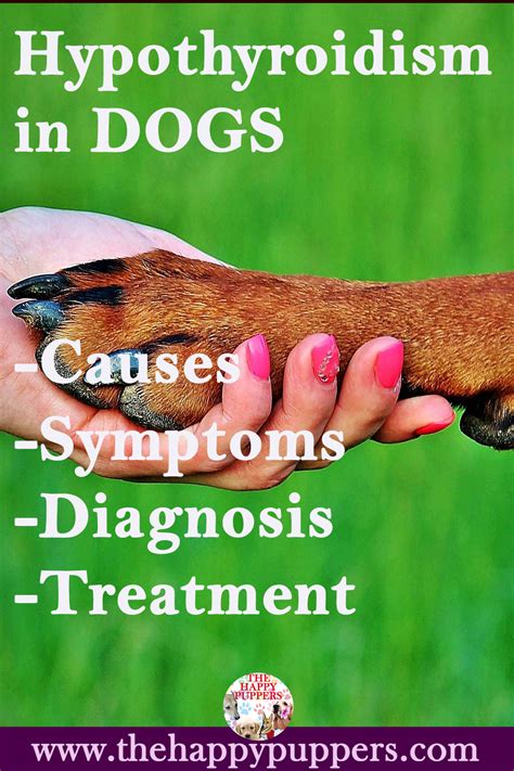 The causes, diagnosis and treatment of hypothyroidism