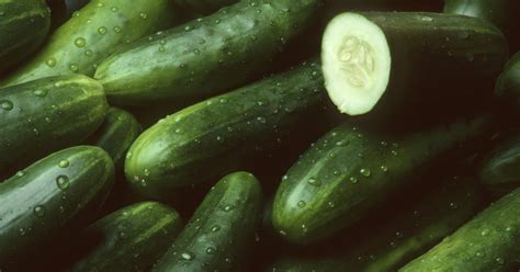 "14 States Recall Cucumbers for Salmonella Concerns" - Internewscast Journal