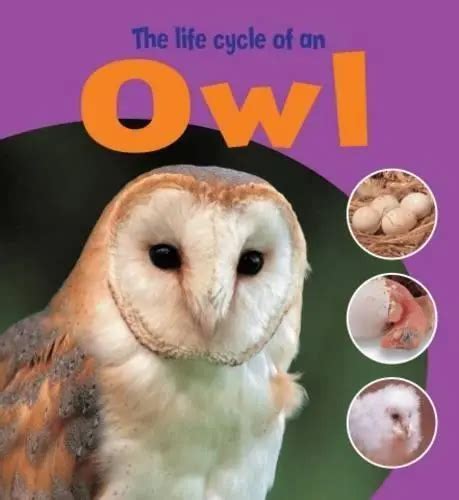 LEARNING ABOUT LIFE Cycles: The Life Cycle of an Owl $54.37 - PicClick