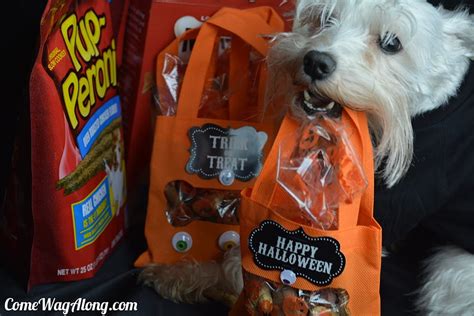 DIY Halloween Dog Treat Bags - Come Wag Along