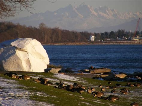 A Cold Day in White Rock, BC, Canada. | Vancouver city, Vancouver island, Things to do at home