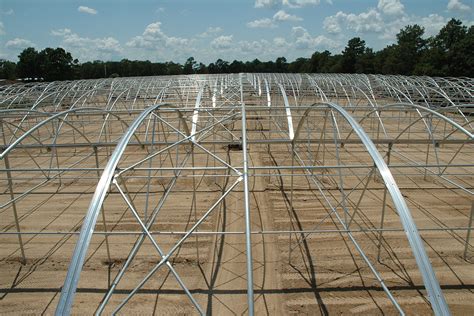 Greenhouse Construction – Stuppy Greenhouse