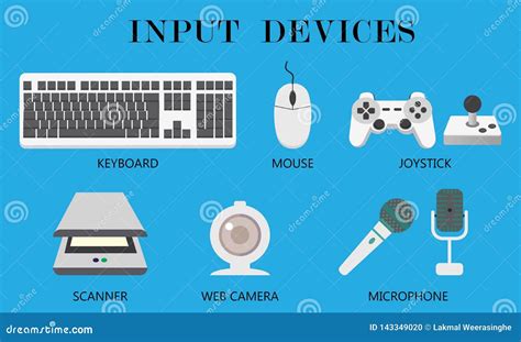 Input Device