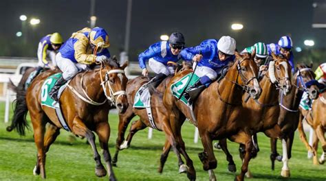 Happenings - Dubai World Cup 2024: Here's What You Must Know - Discover ...