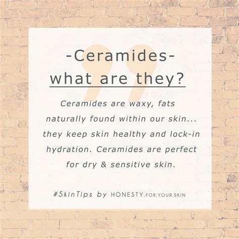 What are ceramides and how can they benefit your skin? Ceramides are a buzz ingredient you ...