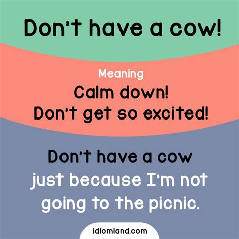 Idiom of the day: Don’t have a cow! Meaning: Calm down! Don’t get so excited! Example: Don’t ...