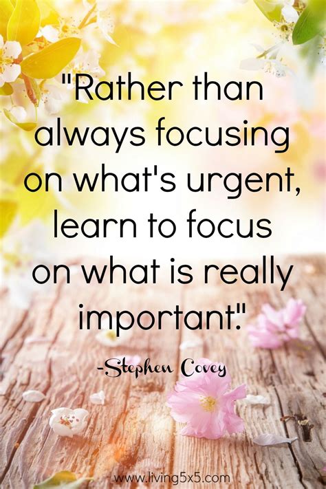 Inspirational Quote of the Week | Quote of the week, Stephen covey, Stephen covey quotes