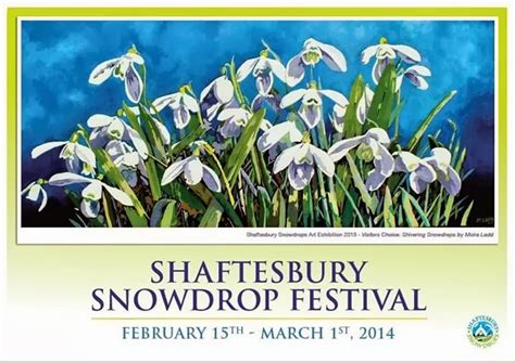 MOIRA LADD IMAGES: SHAFTESBURY SNOWDROP FESTIVAL