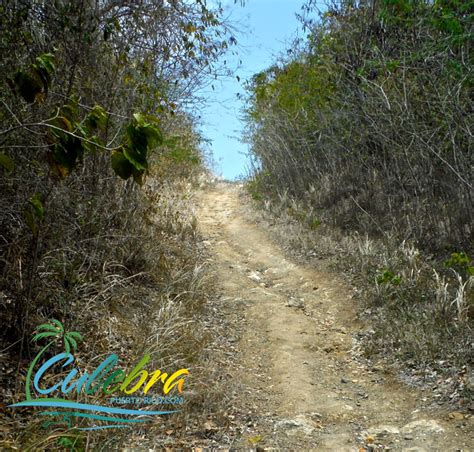 puerto-rico-hiking-trails-culebra-rosario-carlos - Culebra Puerto Rico