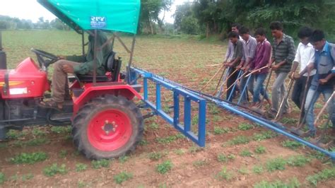 Groundnut farming Gujarat - YouTube