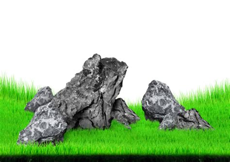 5 Ideas for Your Seiryu Stone Aquascape