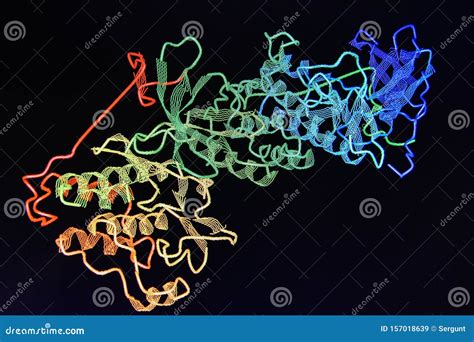 Crystal Structure Of Alpha-galactosidase Or Agalsidase Enzyme That Causes Fabry Disease. Ribbons ...