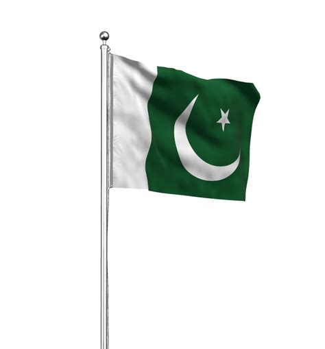 Pakistan flag vector PNG - MTC TUTORIALS