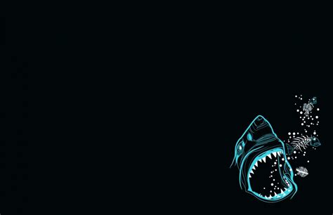 Shark Art Wallpapers - Top Free Shark Art Backgrounds - WallpaperAccess