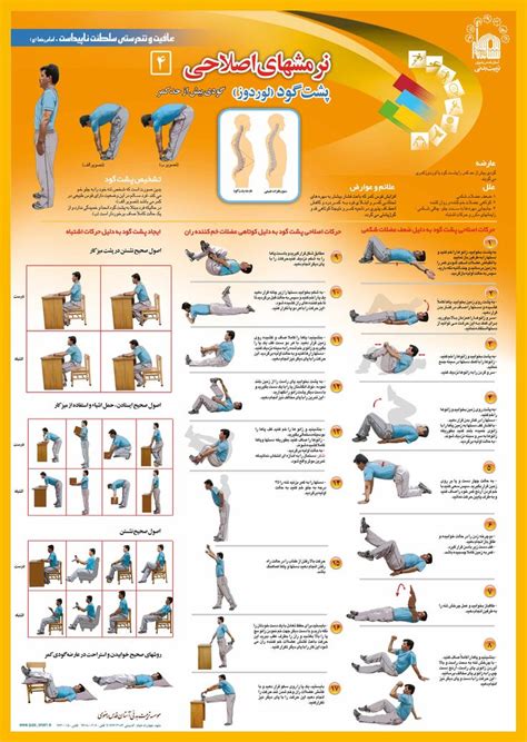 Corrective Exercise (Lordosis ) | Exercise | Pinterest