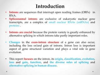 The Role of Introns in Genetic Regulation | PPT