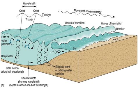 Wave Formation : in an orbital pattern ( animation ) that cause ...