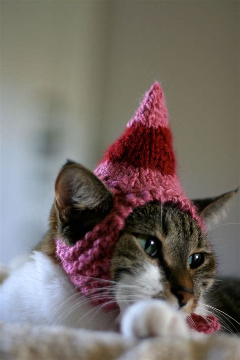 Cat Costumes For Cats Christmas