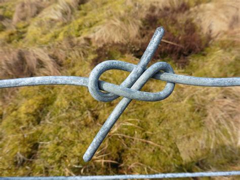 Trees, ropes, boxes and birds!: Wire knots so useful