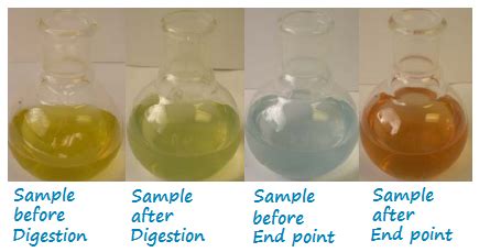 Chemical Oxygen Demand Lab Report - KimoraatFitzgerald